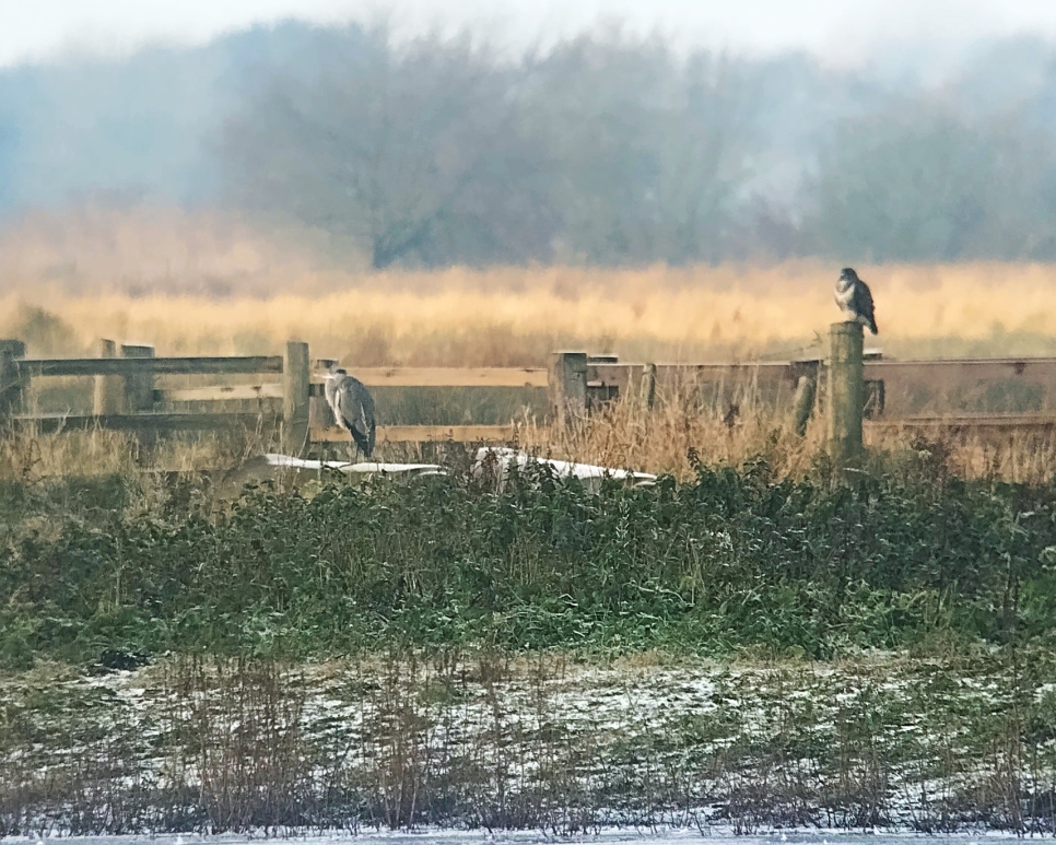 Latest Sightings